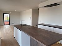 Appartement - BORGLOON
