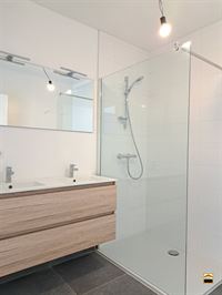 Appartement - TONGEREN-BORGLOON