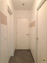 Appartement - TONGEREN-BORGLOON