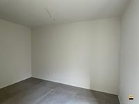 Appartement - TONGEREN-BORGLOON