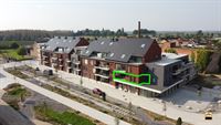 Appartement - TONGEREN-BORGLOON