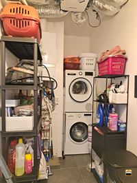 Appartement - TONGEREN-BORGLOON