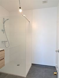 Appartement - TONGEREN-BORGLOON