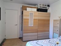 Appartement - TONGEREN-BORGLOON