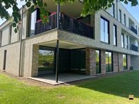 Appartement - TONGEREN-BORGLOON