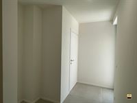Appartement - TONGEREN-BORGLOON