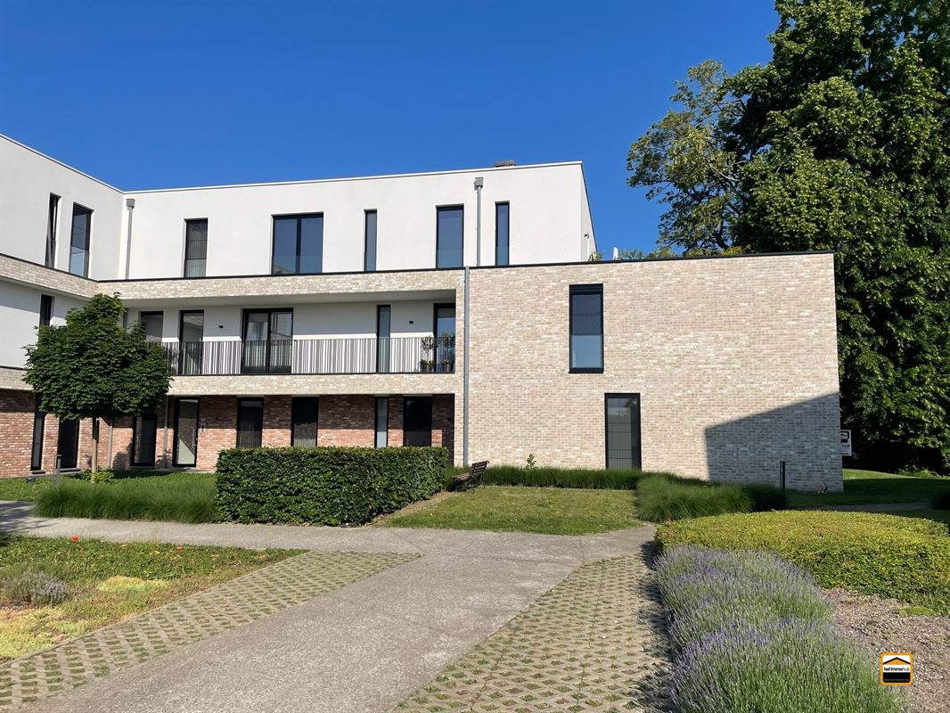 Appartement - TONGEREN-BORGLOON
