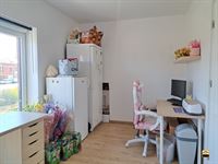 Appartement - TONGEREN-BORGLOON
