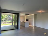 Appartement - TONGEREN-BORGLOON