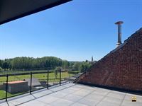 Appartement - TONGEREN-BORGLOON
