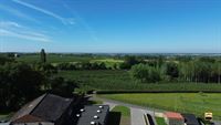Appartement - TONGEREN-BORGLOON
