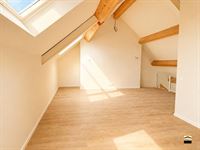 Appartement - TONGEREN-BORGLOON