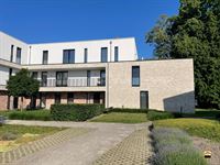 Appartement - TONGEREN-BORGLOON