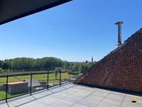 Appartement - TONGEREN-BORGLOON