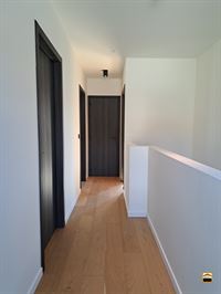Appartement - BORGLOON