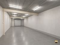 Industrieel gebouw - TONGEREN-BORGLOON