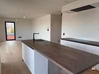 Appartement - BORGLOON
