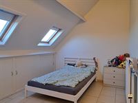 Appartement - TONGEREN-BORGLOON