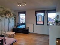 Appartement - TONGEREN-BORGLOON