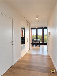 Appartement - TONGEREN-BORGLOON
