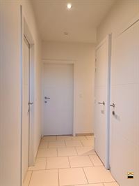 Appartement - TONGEREN-BORGLOON
