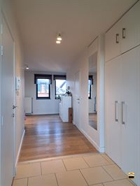 Appartement - TONGEREN-BORGLOON