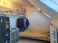 Appartement - TONGEREN-BORGLOON