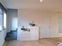 Appartement - TONGEREN-BORGLOON