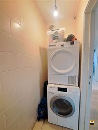 Appartement - TONGEREN-BORGLOON