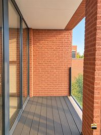Appartement - TONGEREN-BORGLOON