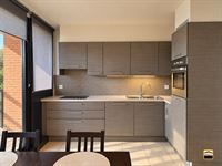 Appartement - TONGEREN-BORGLOON
