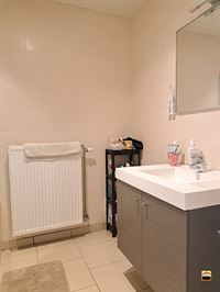 Appartement - TONGEREN-BORGLOON