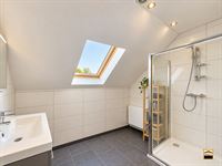 Duplex - HASSELT