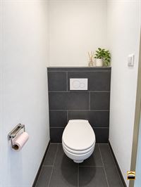 Duplex - HASSELT