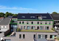 Appartement - TONGEREN-BORGLOON