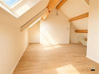 Appartement - TONGEREN-BORGLOON