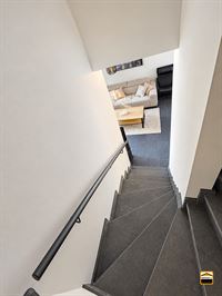 Duplex - HASSELT