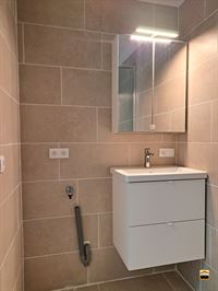 Appartement - HASSELT