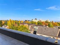 Appartement - HASSELT