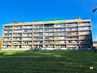 Appartement - HASSELT