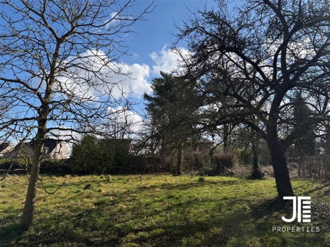 Foto 7 : Grond te 1325 BONLEZ (België) - Prijs € 390.000