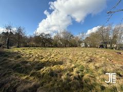 Foto 3 : Grond te 1325 BONLEZ (België) - Prijs € 390.000