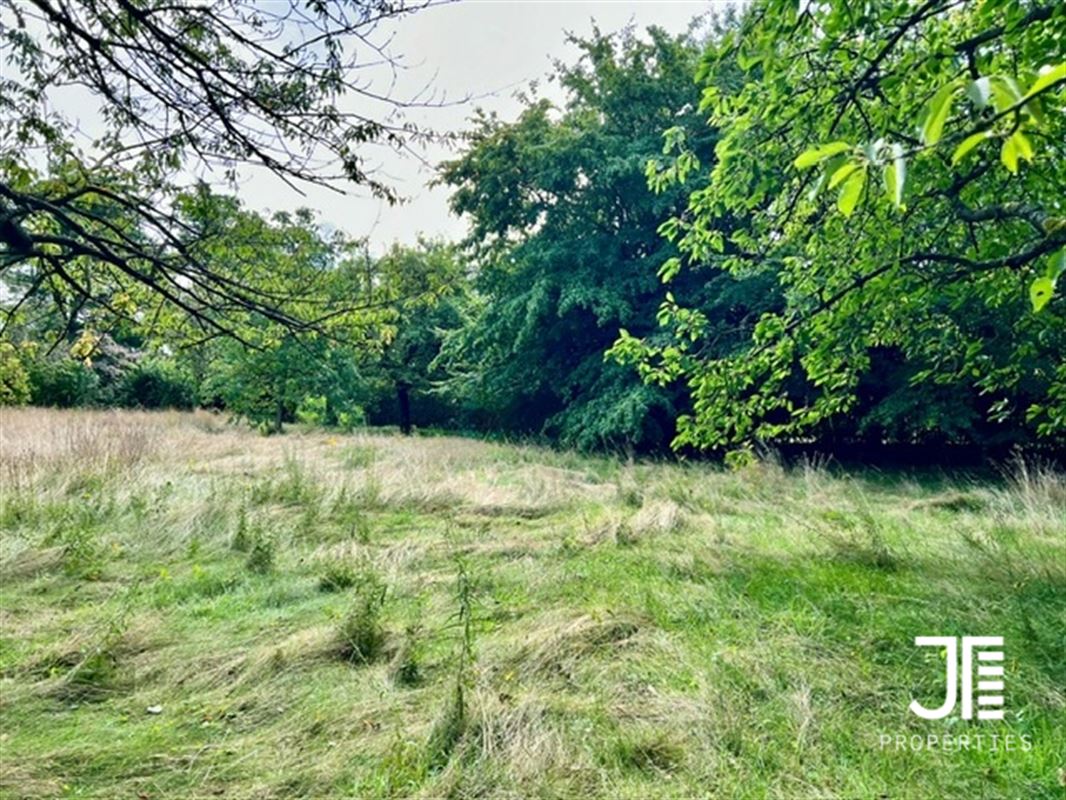 Grond te 1325 BONLEZ (België) - Prijs € 390.000