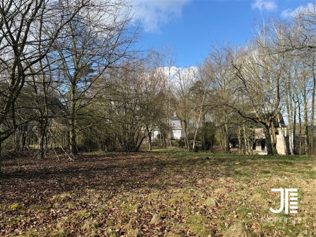 Foto 8 : Grond te 1325 BONLEZ (België) - Prijs € 390.000