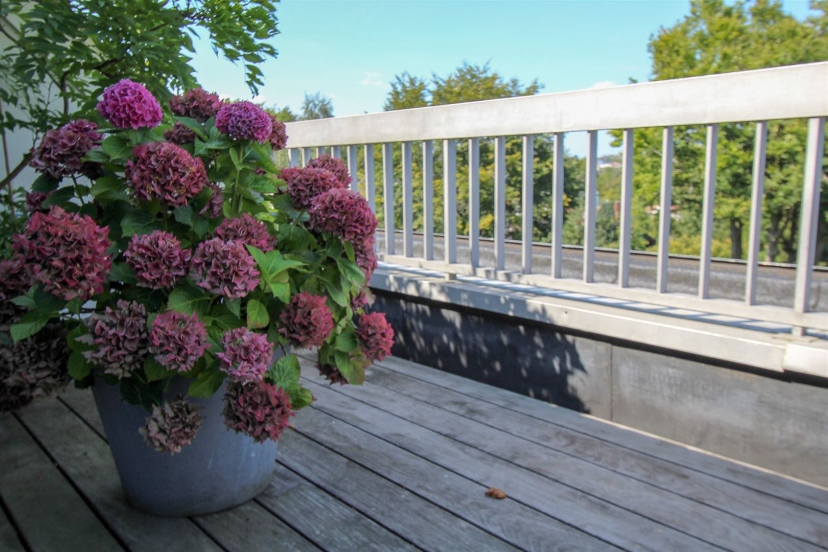 For rent Brussels Real Estate