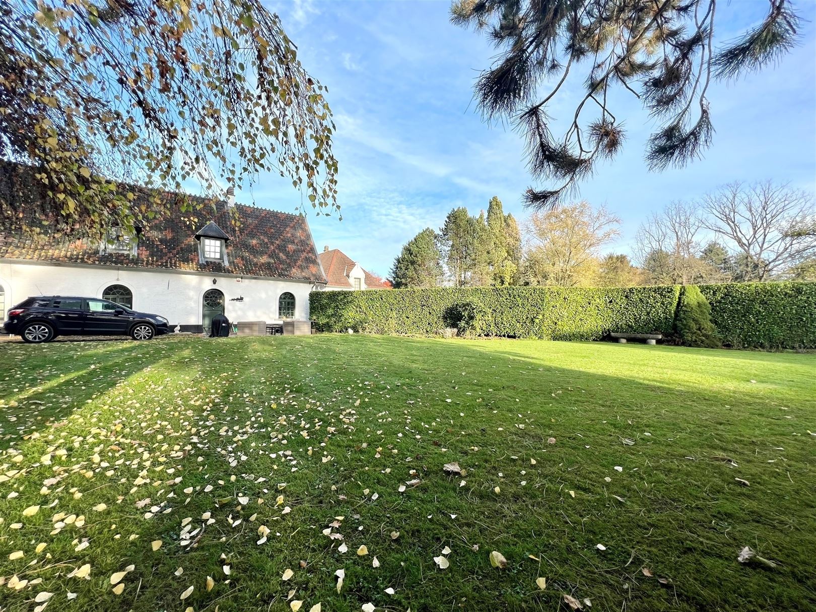 For rent Brussels Real Estate