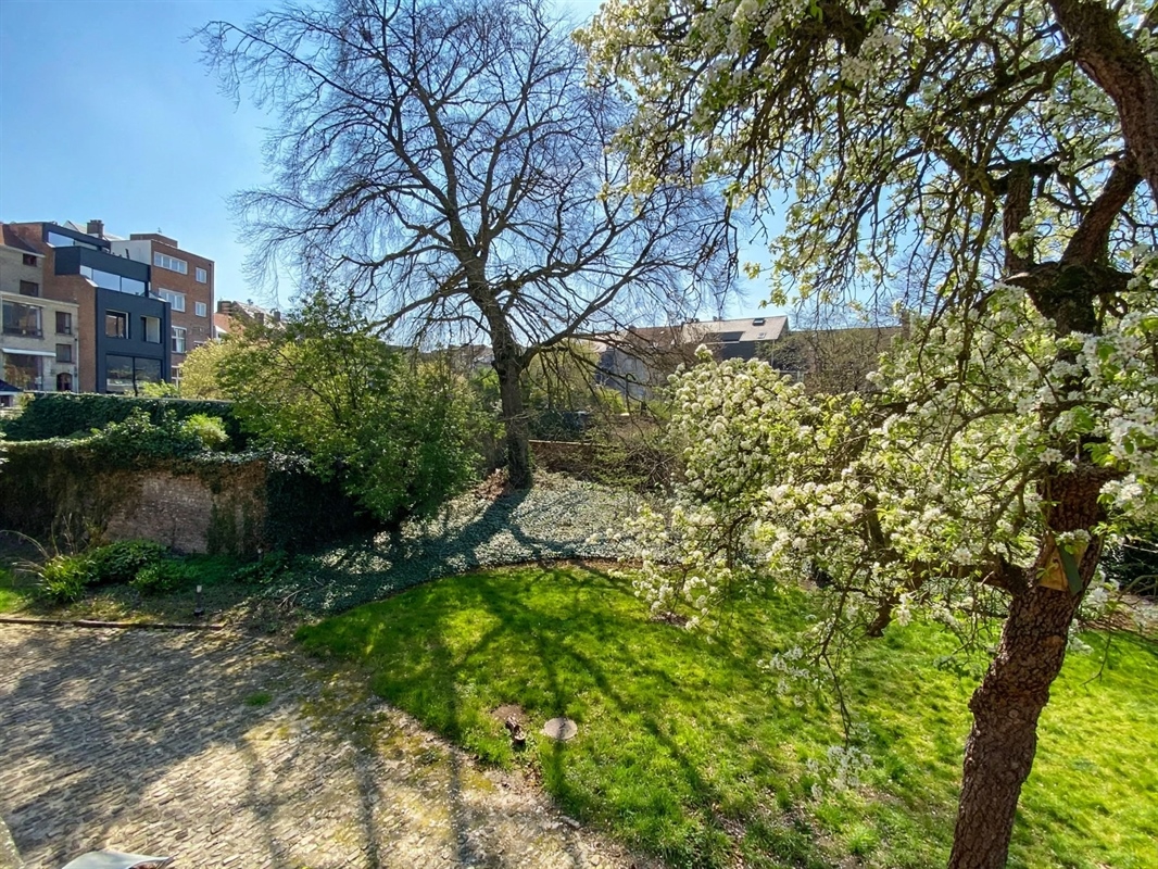 Appartement à louer à Leuven