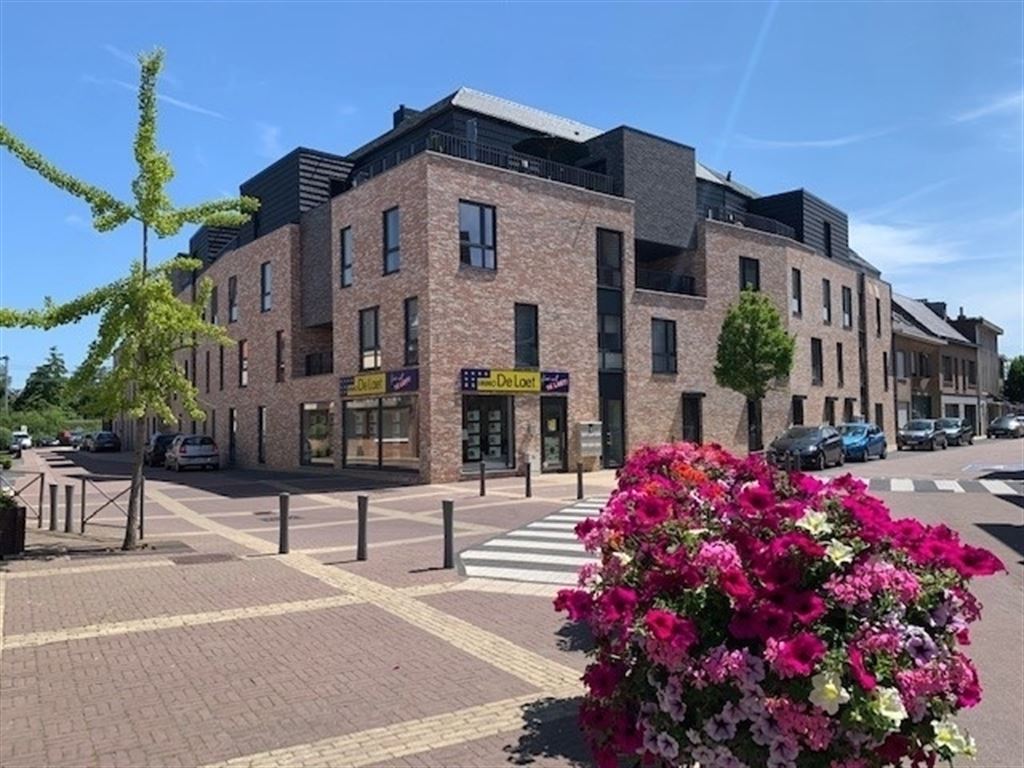 Staanplaats - binnen in Schelle - foto 2