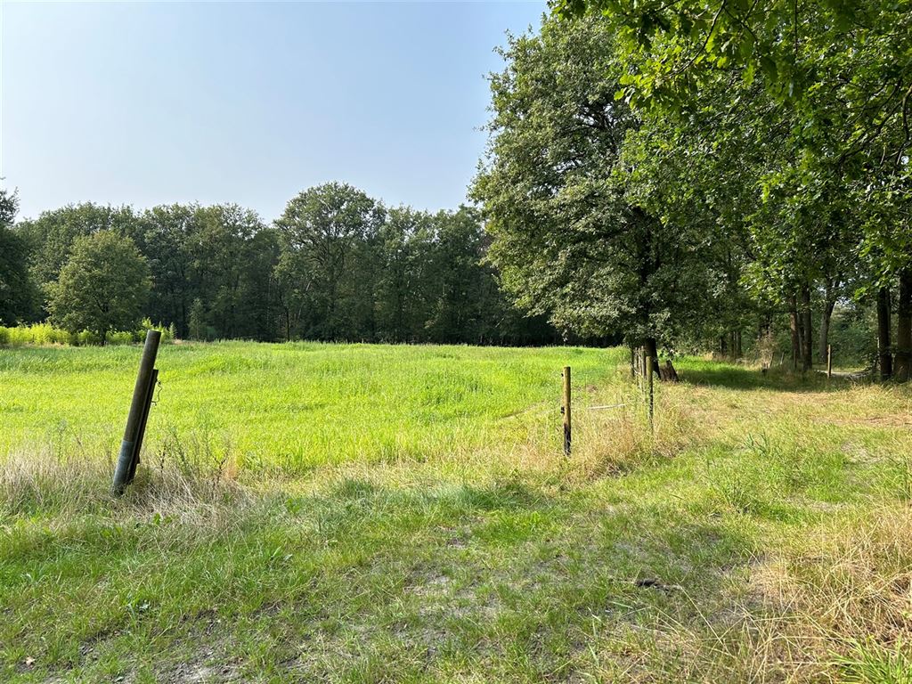 Weide in Schilde - foto 3