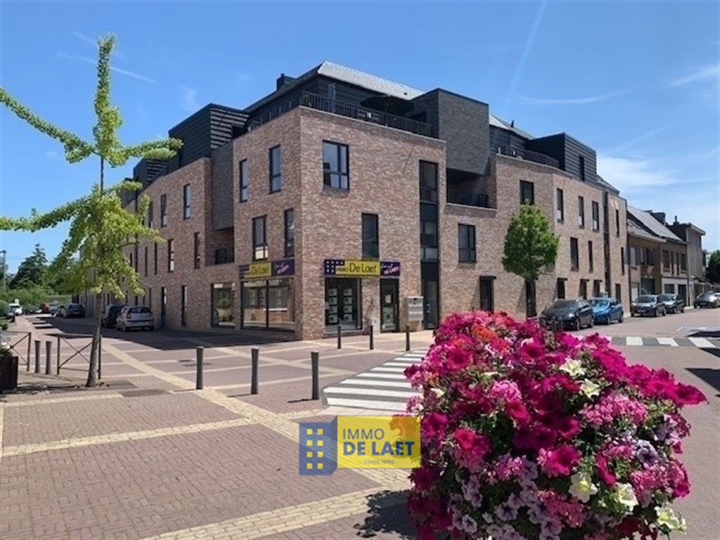 Staanplaats - binnen in Schelle - foto 2